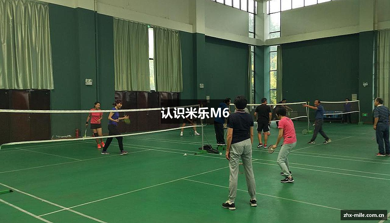 认识米乐M6